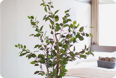 ベイパーク糖尿病・内分泌内科クリニック